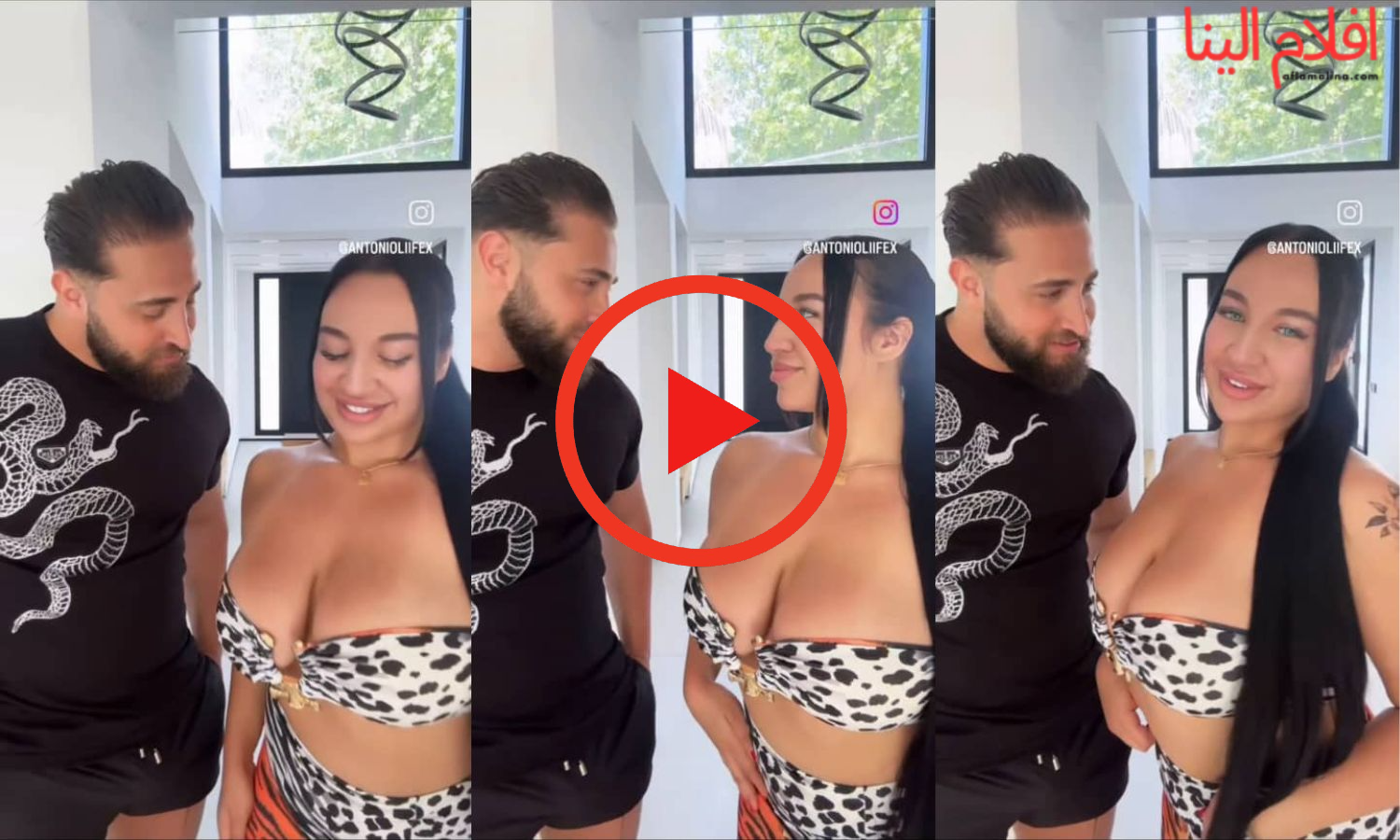 سكس فيديو ياسمين كورفي مع انطونيو سليمان