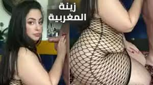 سكس زينة المغربية – سكس عربي خطير